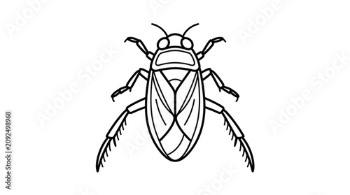 Принти на полотні Detailed Outline Drawing of a Water Boatman Insect.