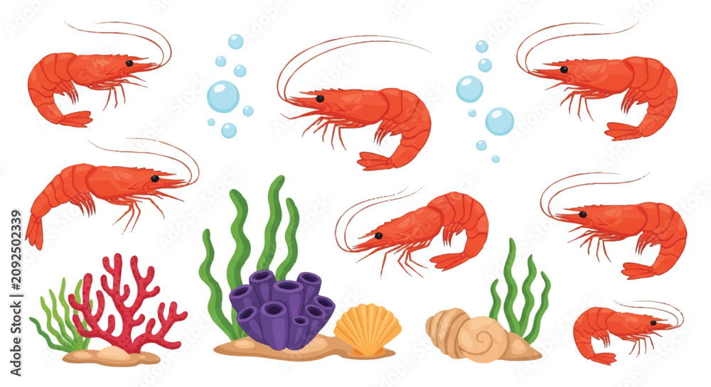 Obraz premium Shrimp Constructor Isolated Vector Set for Creating Custom Prawn Illustrations and Seafood Menu Design