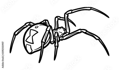 Tableau sur toile Black widow spider line art illustration