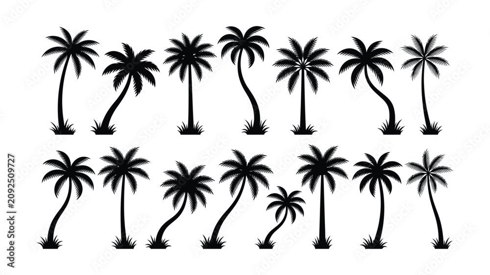Fototapeta premium Set of black palm tree silhouettes on white background