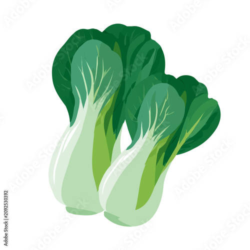 Quadro su tela Pak Choi, flat 2D illustration, minimal modern design, clean shapes, isolated on a white background