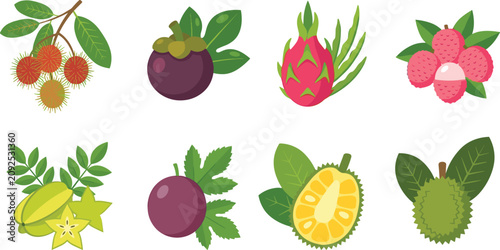 Foto Collection of exotic tropical fruits vector illustrations featuring rambutan man