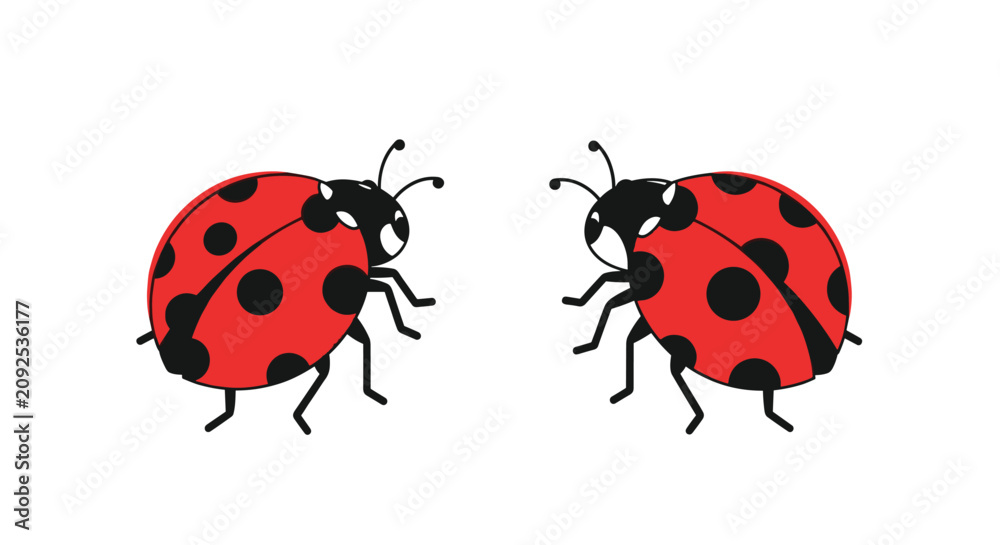 Fototapeta premium Two cute cartoon ladybugs facing each other isolated on white background representing love and friendship.