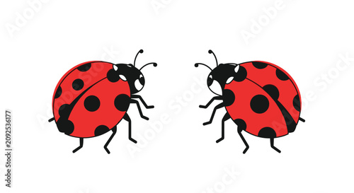 Two cute cartoon ladybugs facing each other isolated on white background representing love and friendship.