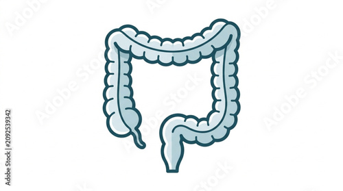 Quadro su tela Human Digestive System Diagram Illustration.