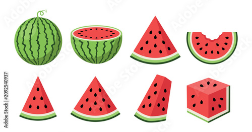 Foto Watermelon Variations In Vector Illustration With Seed Details fruit
