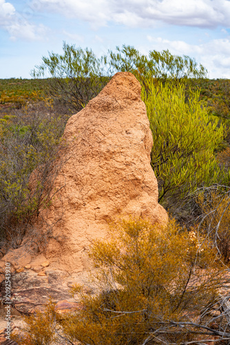 Kalbarri NP