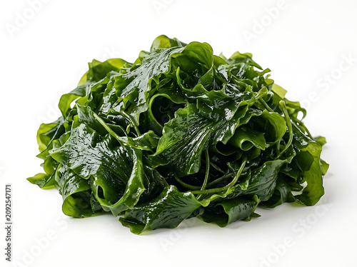 Fresh Wakame Seaweed Pile Isolated on White Background in a Clean Minimalist Studio Style