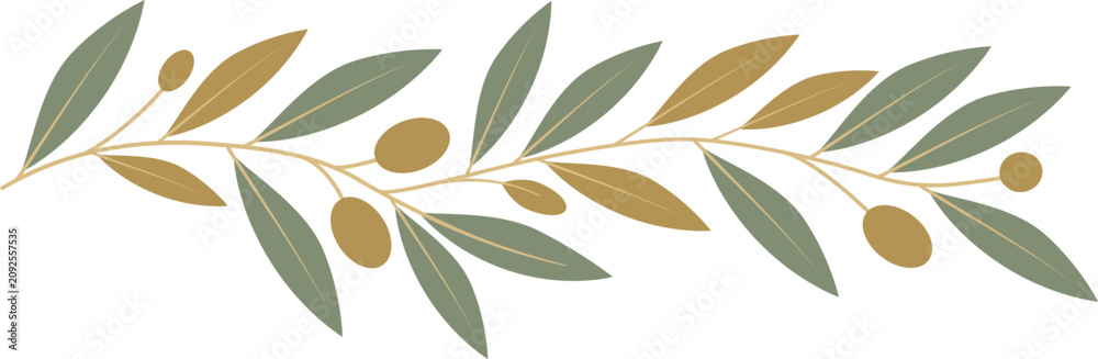 Obraz premium A decorative olive branch pattern with golden olives stretches across a white background. Vector illustration