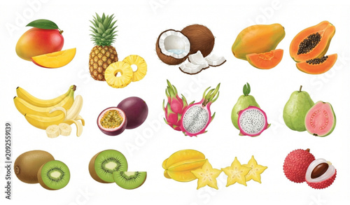 Foto Fresh tropical fruit collection vector illustration isolated on white background