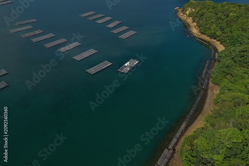Photography Aerial drone photo of oyster farming rafts in Mushiake Bay, Setouchi, Japan