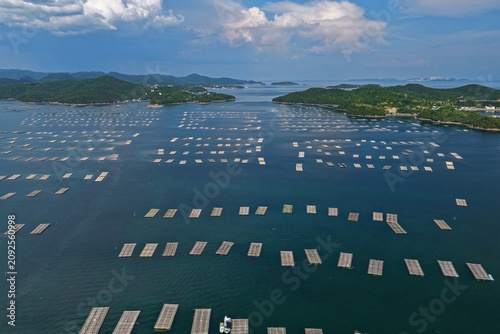Aerial drone photo of oyster farming rafts on the Seto Inland Sea, Oku, Setouchi, Japan