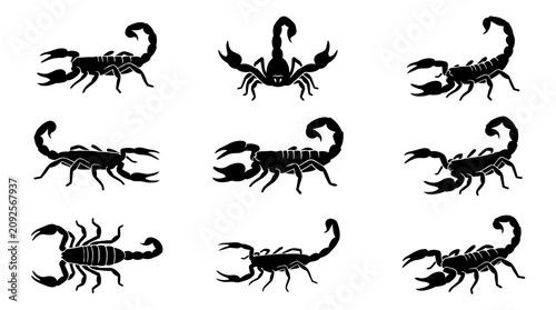 Foto Scorpion silhouette vector set, black animal icon collection