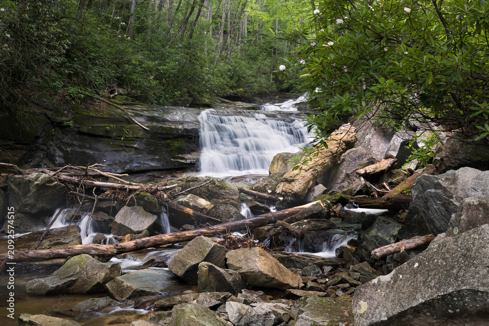 Obraz premium Waterfall in the blue ridge mountains.