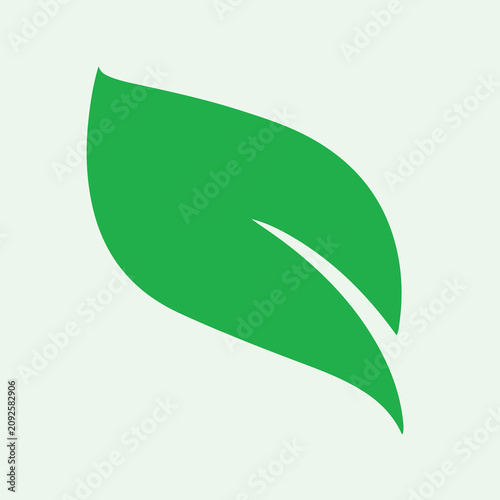 Green leaf icon, nature