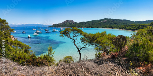 Cuadro en lienzo Paysage du sud de la France sur l'île de Porquerolles