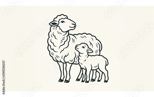 Mother sheep and little lamb standing 1.