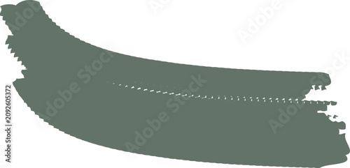 Konstfotografi Sage green brush stroke vector, textured paint smear with rough edges, hand draw