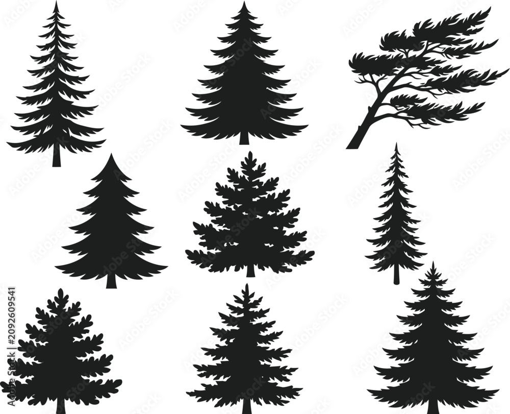Obraz premium Black and white forest trees vector illustration