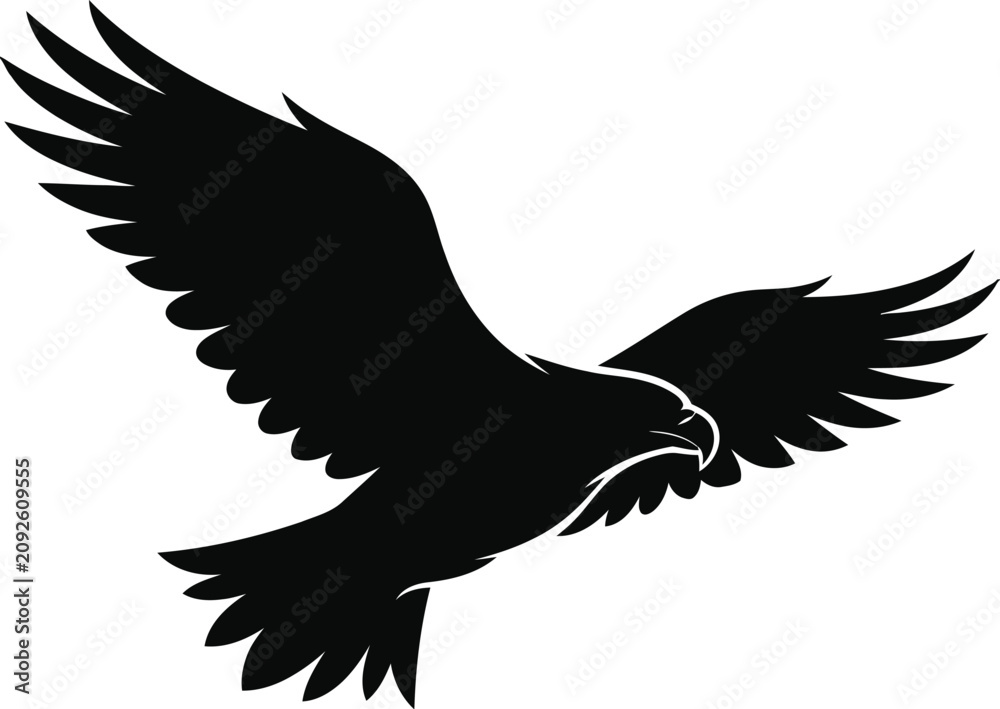 Fototapeta premium Black eagle bird flying with spread wings