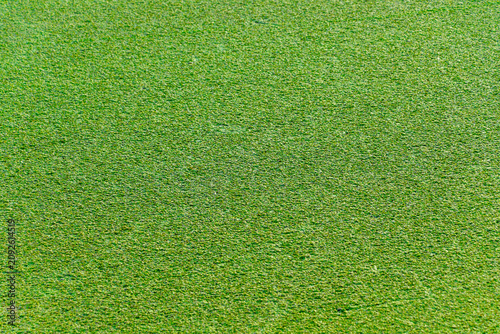 Tableau sur toile the common duckweed close up showing texture and uniform surface