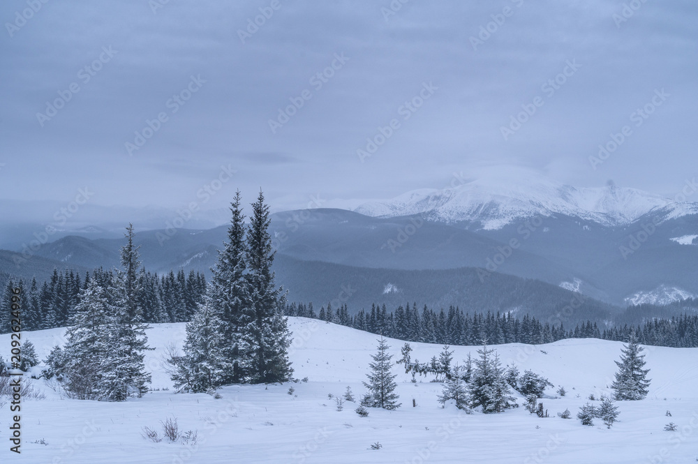 Obraz premium Monochrome winter landscape with snowy forest