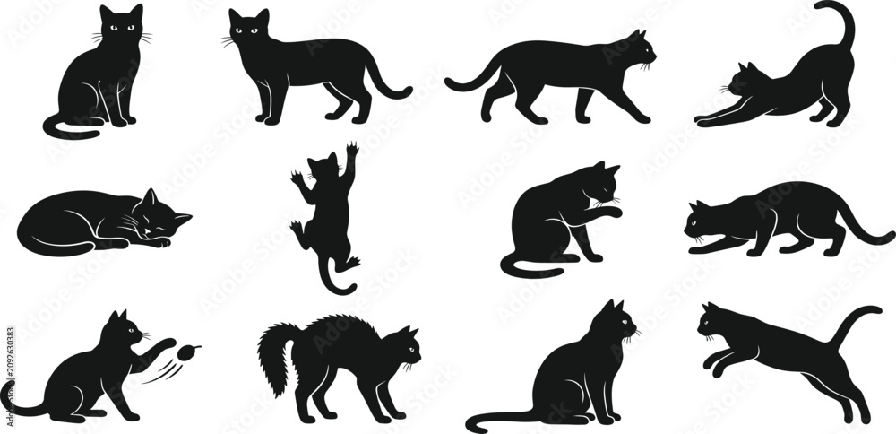 Fototapeta premium Cat Silhouette Collection Featuring Sitting Walking Playing Stretching Jumping and Sleeping Domestic Feline Black Vector Illustration Set