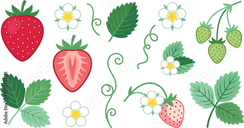 Tableau sur toile Strawberry vector icon set featuring cartoon red berry slice green unripened fruits white blossoms leaves and vine tendrils