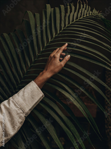 Hand reaching for a palm leaf indoors