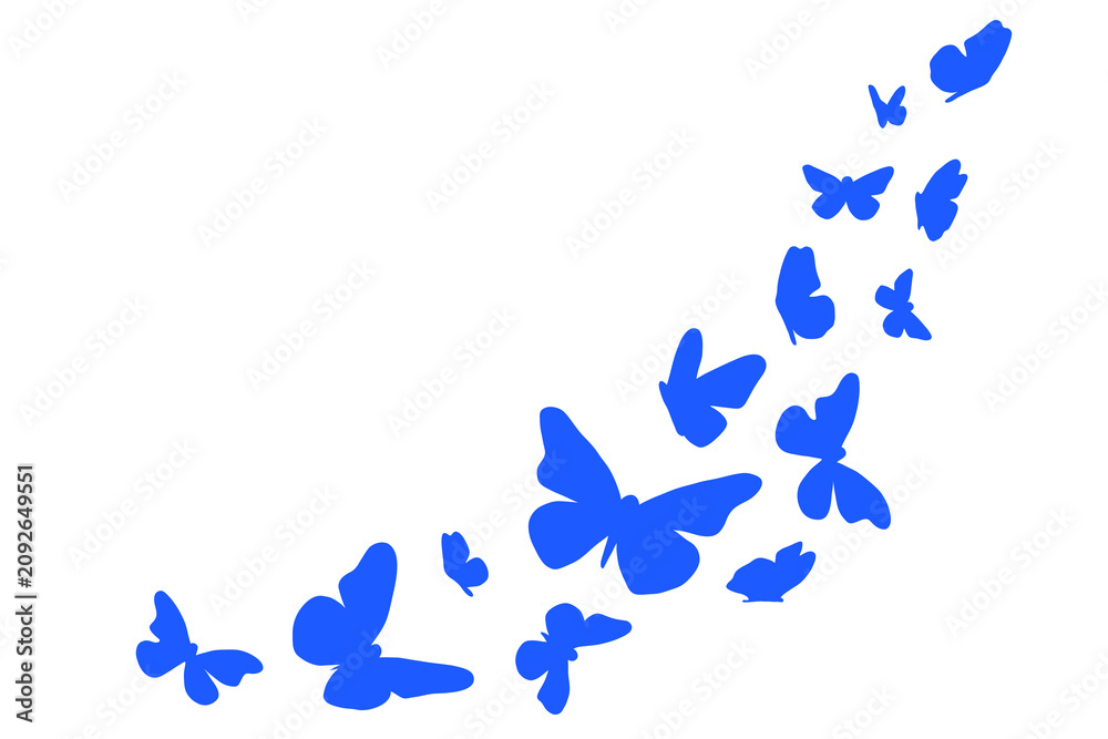 Fototapeta premium Elegant blue butterfly frame, corner composition with copy space on a white background. freedom, transformation, beauty