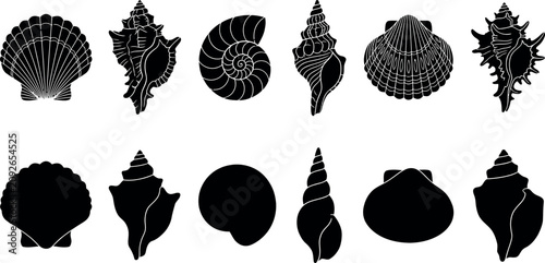 A collection of twelve distinct seashell silhouettes displayed in two rows featuring intricate details and solid black shapes against a clean transparent background backdrop