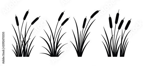 Konstfotografi Reed Silhouette: A set of stylized reeds in silhouette, conveying natural elegance