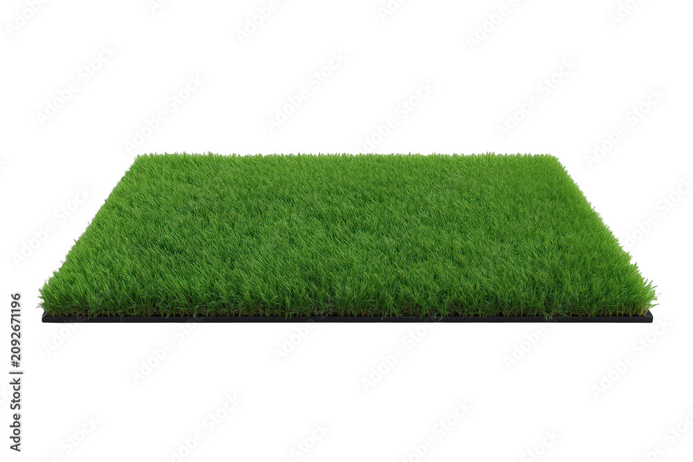 Obraz premium Green grass turf patch representing a fresh clean lawn or garden element, isolated with transparent background