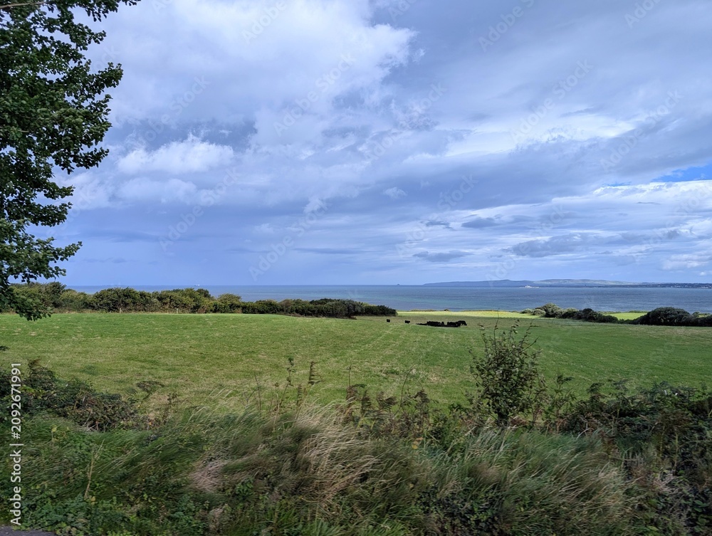 Fototapeta premium Scenic Irish coastal landscape with lush green farm fields, grazing cattle, and the ocean under a dramatic cloudy sky on the Dingle Peninsula.