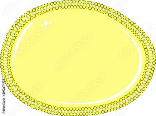 Yellow Oval Frame with Decorative Beaded Border on White Background