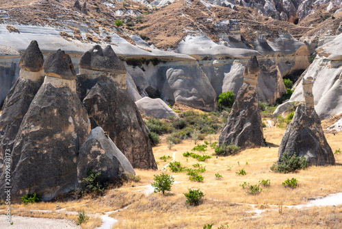 fairy chimneys in Pasabag, cappadocia on a summer day.