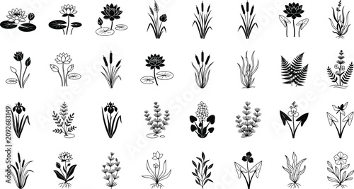 Set of black silhouette water plants and flowers icons
