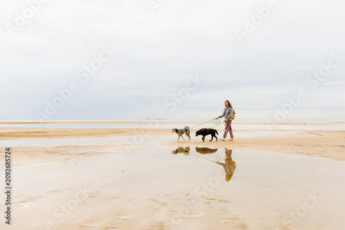 Woman walking two dogs along wet sandy beach. Green and blue leashes connect pets to owner. Calm water and cloudy sky fill background. Peaceful, relaxed seaside stroll under soft overcast daylight.