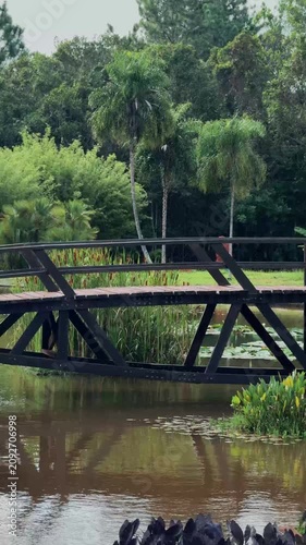 bridge over the river