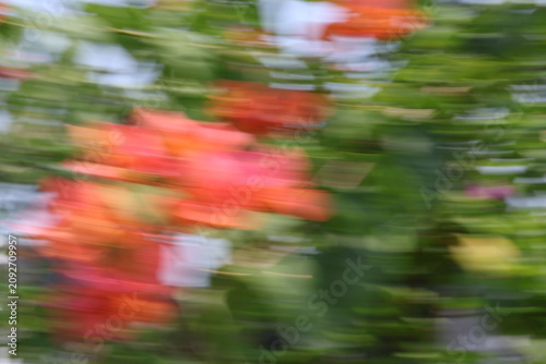Abstract motion blur background of red flowers and green leaves, intentional camera movement panning effect creating a dynamic natural texture.