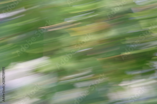 Foto Abstract motion blur background of green foliage and plants, dynamic intentional camera movement panning effect creating a natural artistic texture