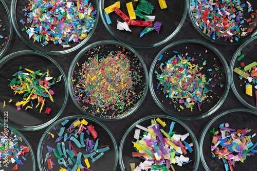 Quadro su tela Samples of microplastic in petri dishes on black background, close up, top view