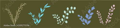 botanical herbs / tropical leaves plant
