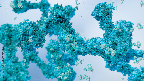 Bild auf Leinwand antibodies or immunoglobulin protein or enzyme Molecular structure, Chain of ami