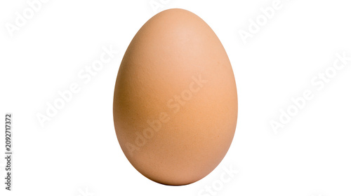 Single brown chicken egg smooth shell texture, isolated on transparent background