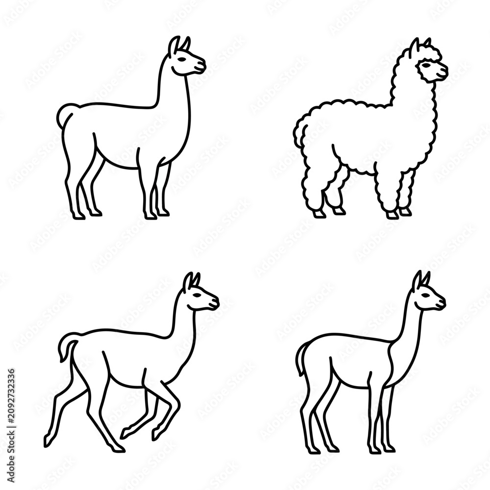 Fototapeta premium Llama Alpaca Icons Set, Outline Animals Vector Illustration