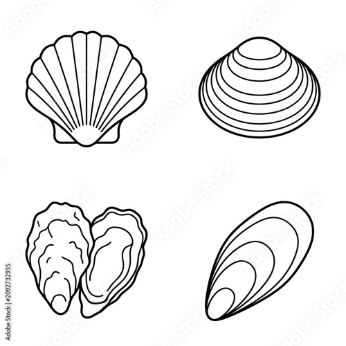 Seashell Icons: Scallop, Clam, Oyster, Mussel - Outline Vector Art