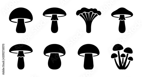 Obraz na płótnie Mushroom Icons Set, Edible Fungi Vector Graphics, Forest Foraging Symbols
