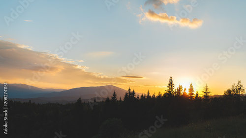 Beautiful sunset over the Carpathian mountains with sun rising or setting behind pine trees.