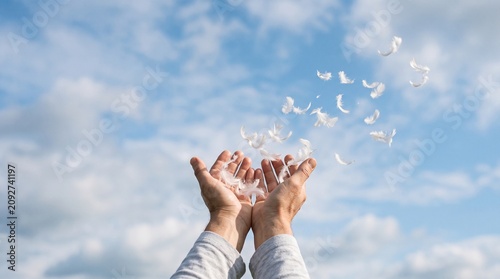 Hands Releasing White Feathers Celebrating International Day of Peace